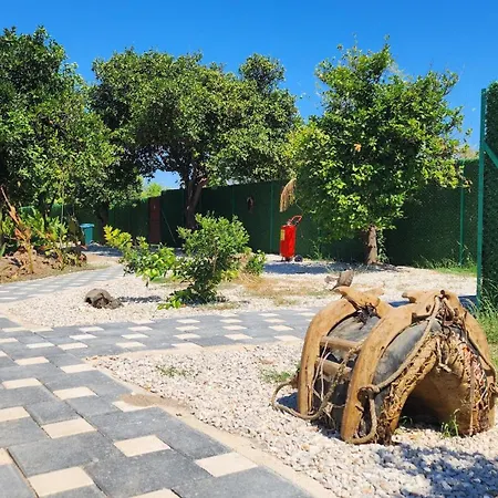 Alatimya Case de vacanță *